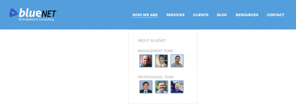 Bluenet Technologies Professional Team