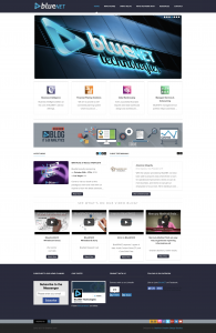 Bluenet-Technologies-Web